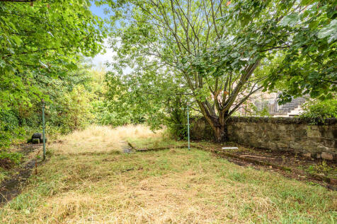 Shared Garden