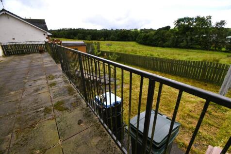 Patio/Rear Garden