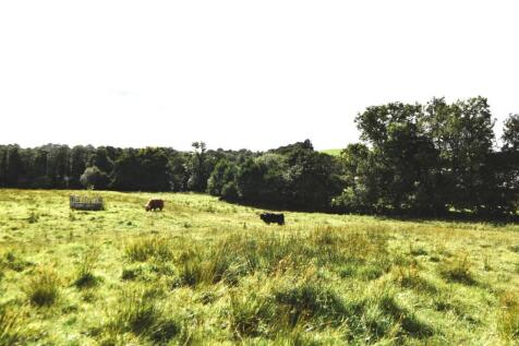Neighbouring field