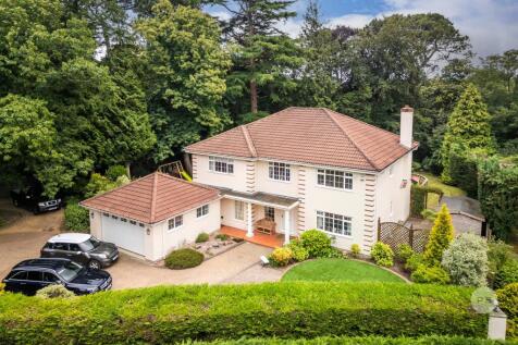 Property Image 34