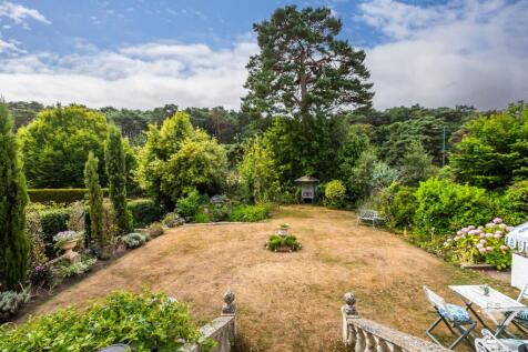 Property Image 42