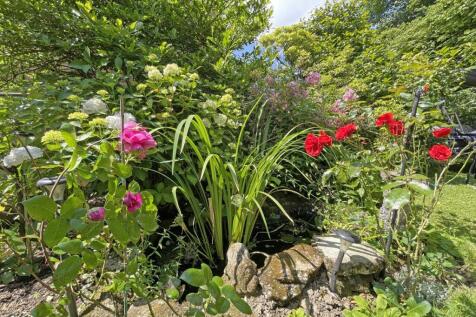 Beaumaris Road 113 Garden 4.jpg