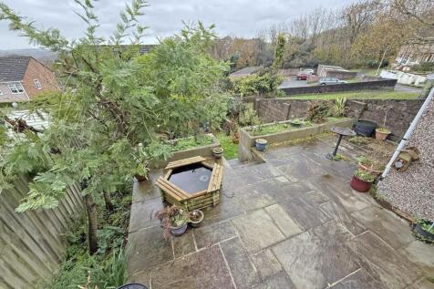 Pattinson Drive 48 - Garden.jpg