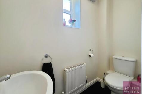 Picture 14