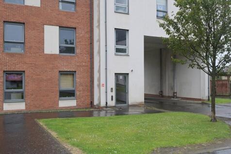 MFL1248375_165.jpg