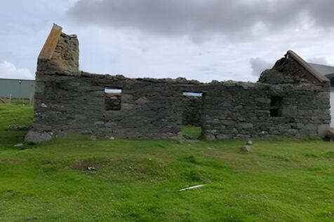 MFL0245741_664.jpg