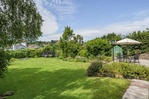 Back Garden