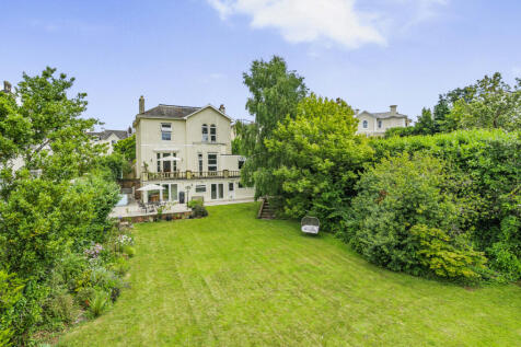Back Garden