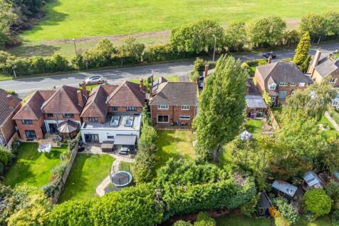Plot View