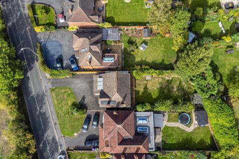 Plot View