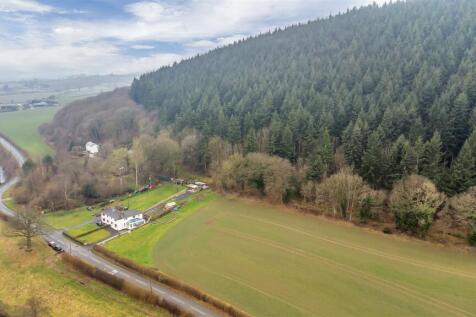 DJI_0212.jpg
