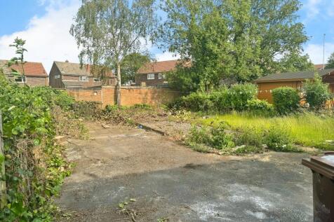Back Garden