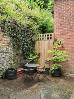 Rear Yard