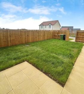 Rear Garden 2