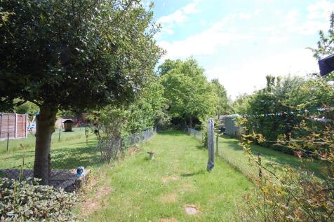 garden.JPG