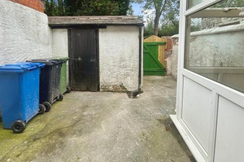 Back Garden