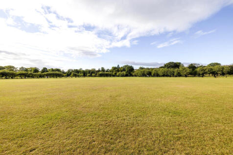 The Meadows