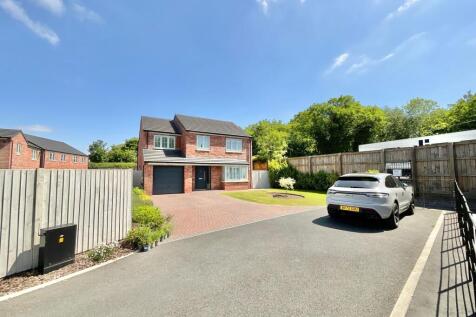 Property Image 31