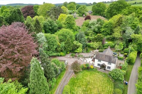 Property Image 43