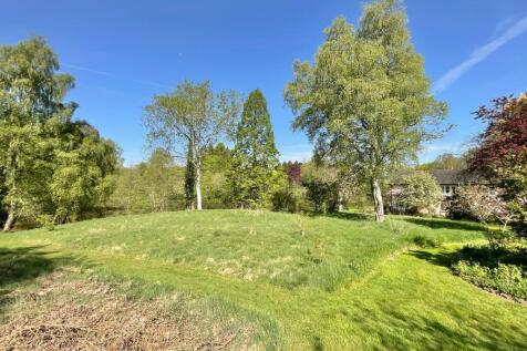 Property Image 43
