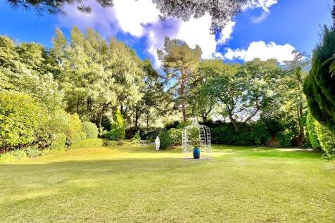 Property Image 45