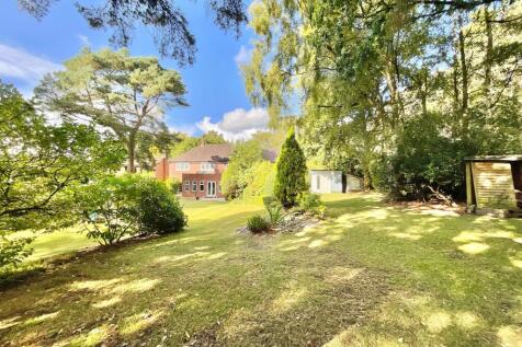 Property Image 49
