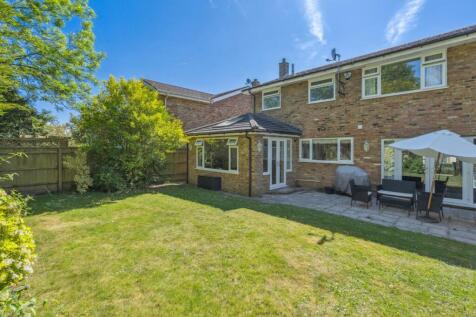 Property Image 16