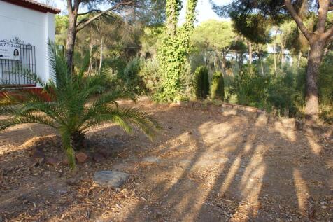 Property Image 44