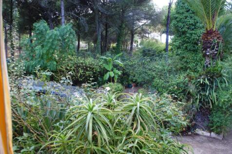 Property Image 26