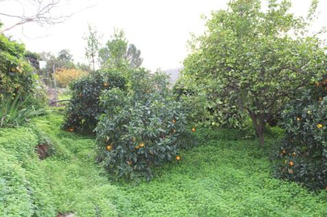Property Image 52