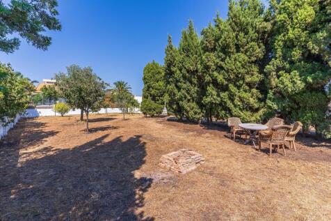 Property Image 61