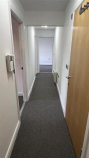 IMG_1041.jpeg