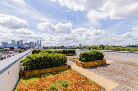 Roof Terrace