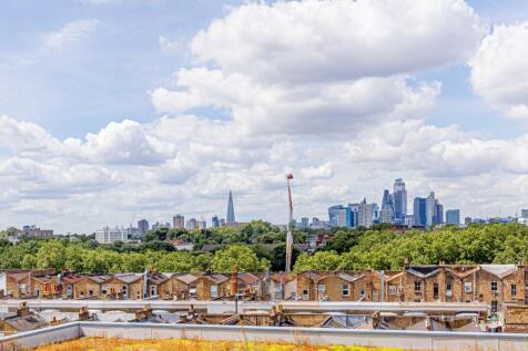 Roof Terrace