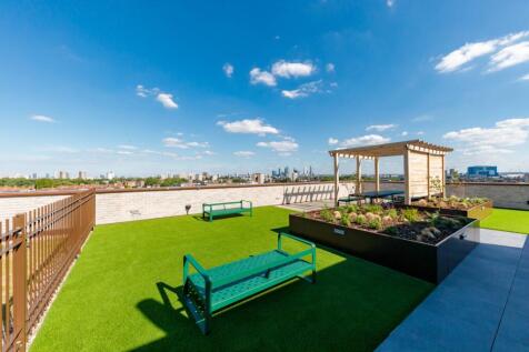 Roof Terrace