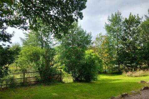 Side Garden