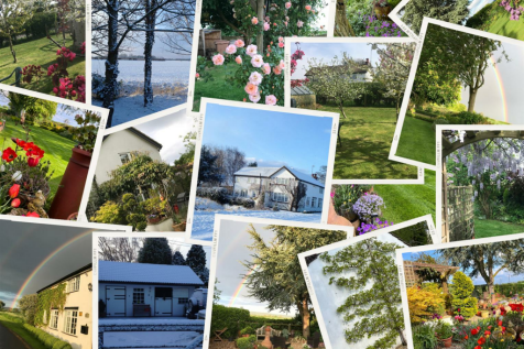 PHOTO COLLAGE.png