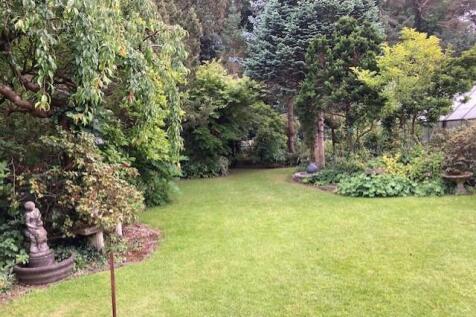 thumbnail_IMG_8840 garden 3.jpg