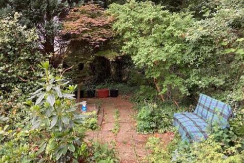 thumbnail_IMG_8846 garden 2.jpg