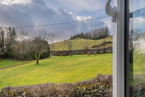 View from the window