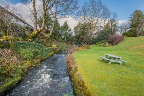Shared Grounds 