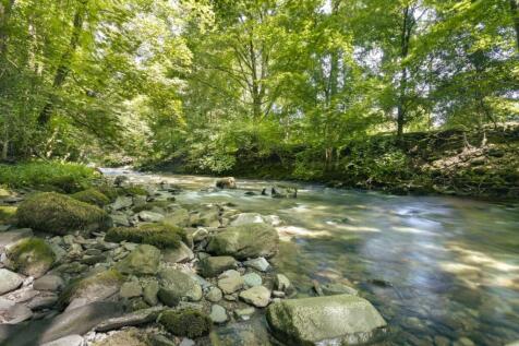 Stream through Woodland