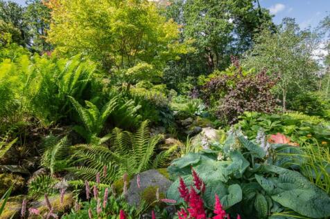 Garden and Grounds