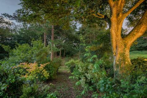 Top Garden