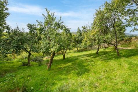 High Above Park Damson Orchard