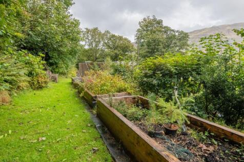 Garden with Raised Beds