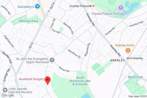 Google Maps Image