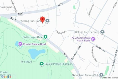 Google Maps Image