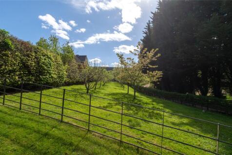 Orchard