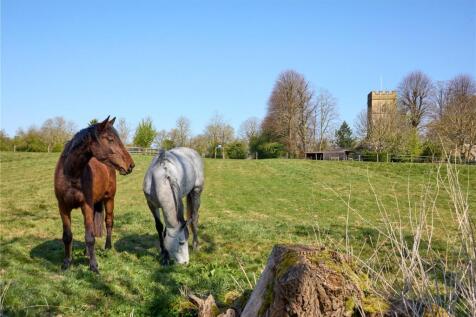 Field